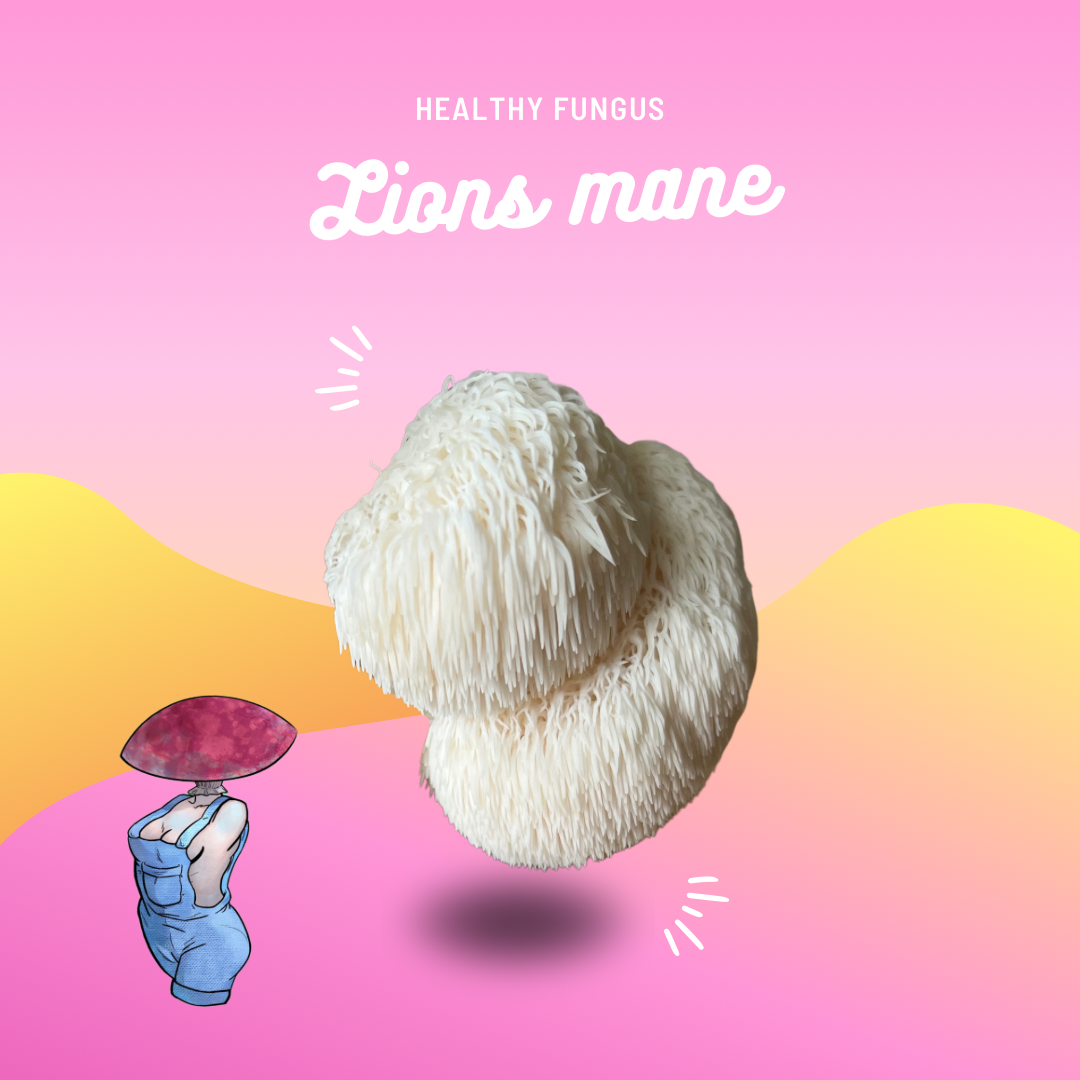 Lions mane