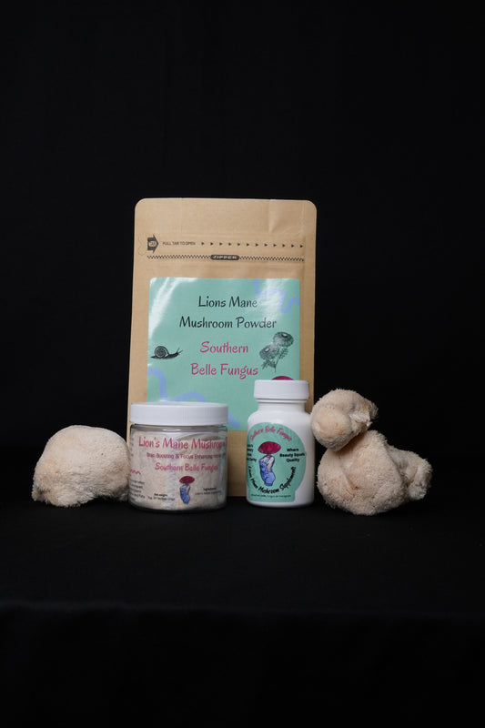 Lion’s Mane Wellness Bundle