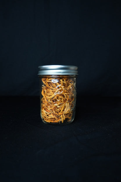 Cordyceps Complete Wellness Bundle